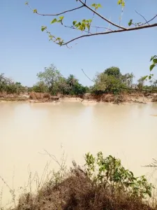 Rakennusmaa Myynnissä 0000 Brikama Gambia  DE